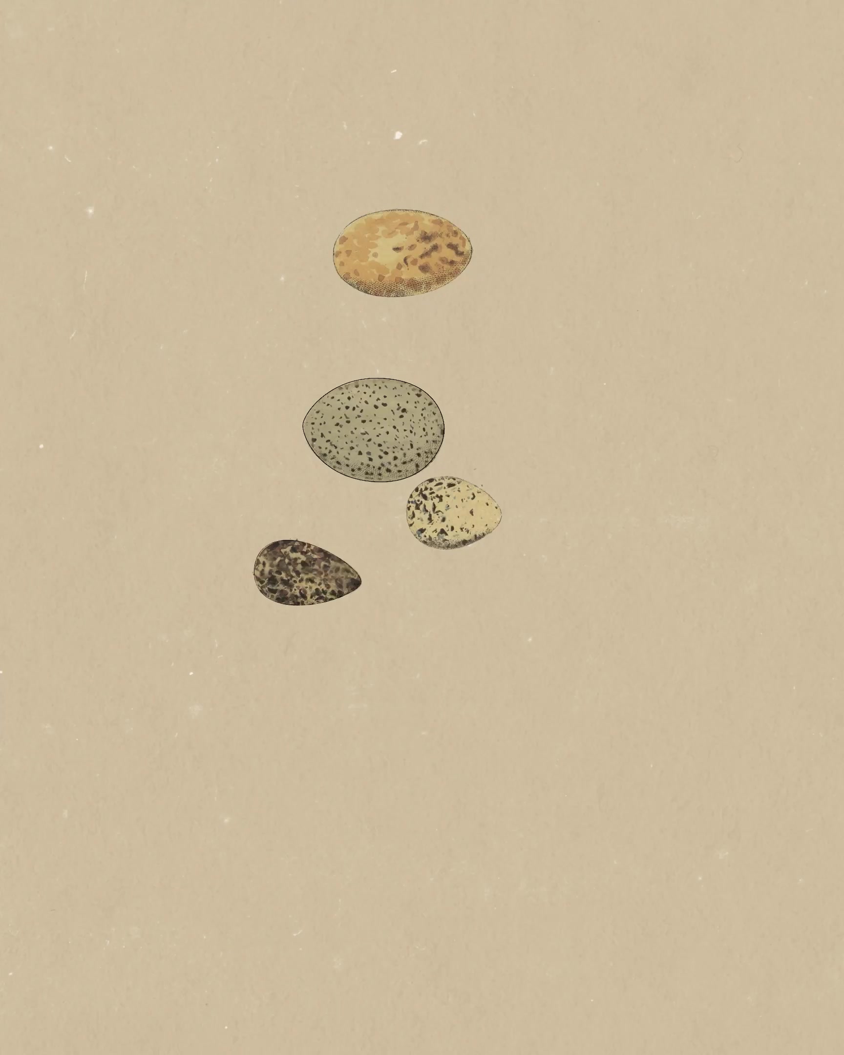 ⚡️ РЕЛИЗ: CLAUDE OPUS 5